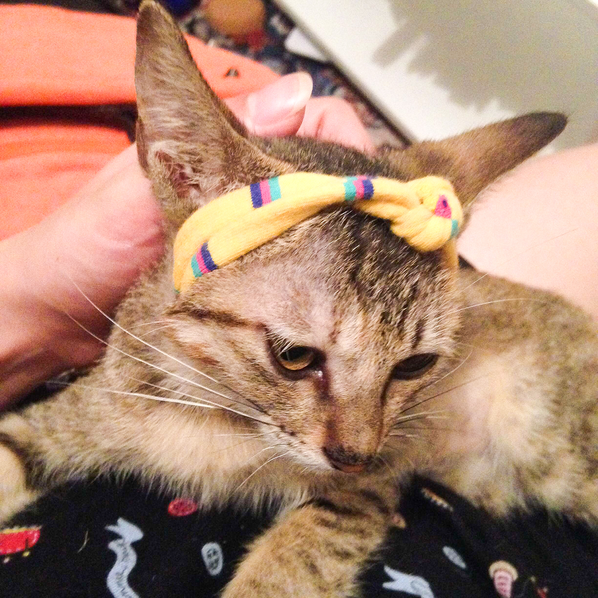 1504332099814402.jpg QQ圖片20170822112819.jpg