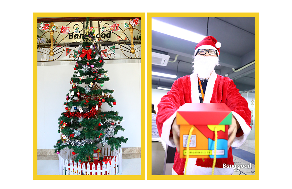 1515058047373593.jpg 7.jpg